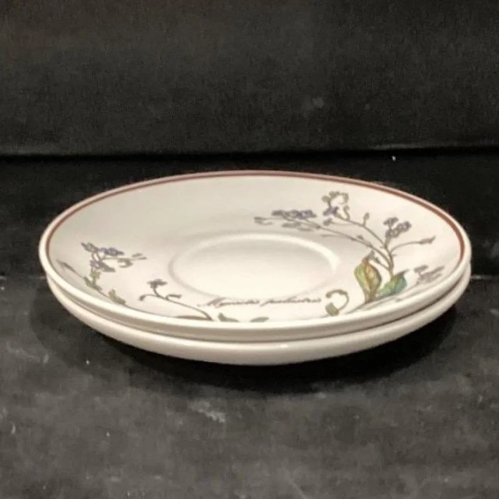 Villeroy & Boch Botanica Teacup and Saucers, Set of 2, Vintage Botanical Design
